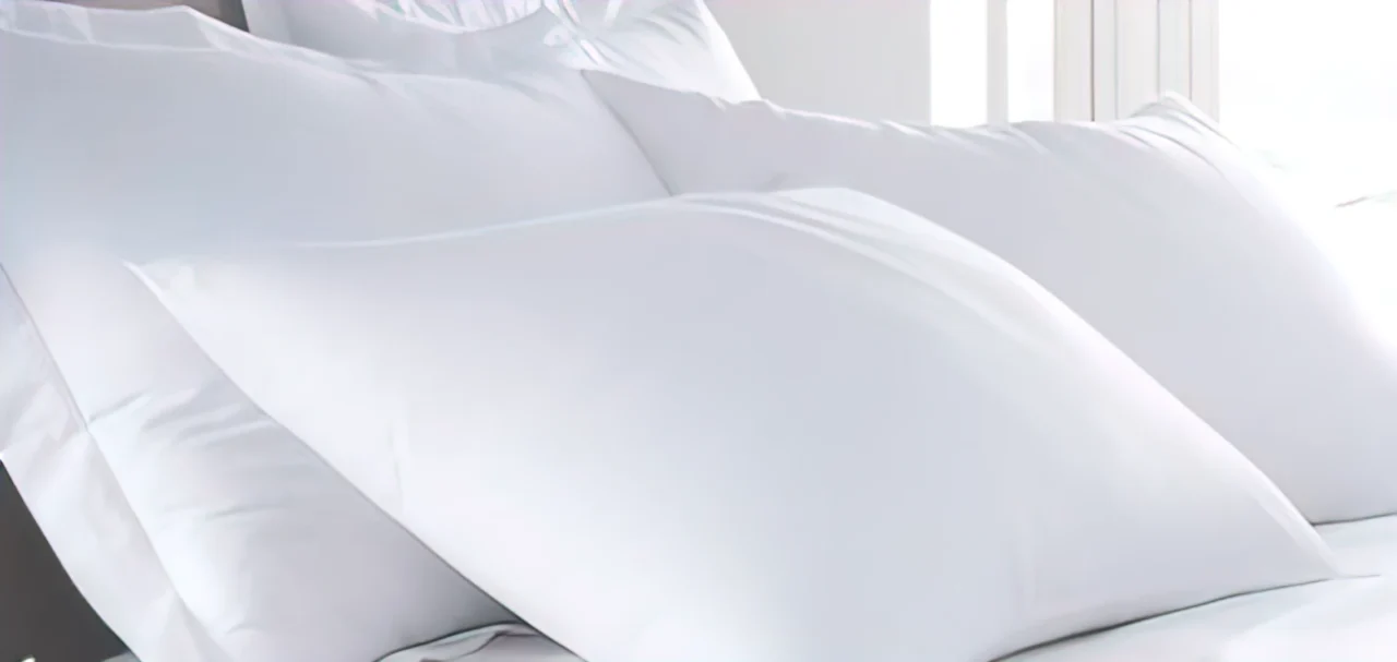 Μαξιλαροθήκη Λευκή 50x70+17 160 Κλωστές Cotton 100% 003067011